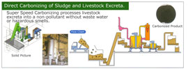 Direct Carbonizing of Sludge and Livestock Excreta.