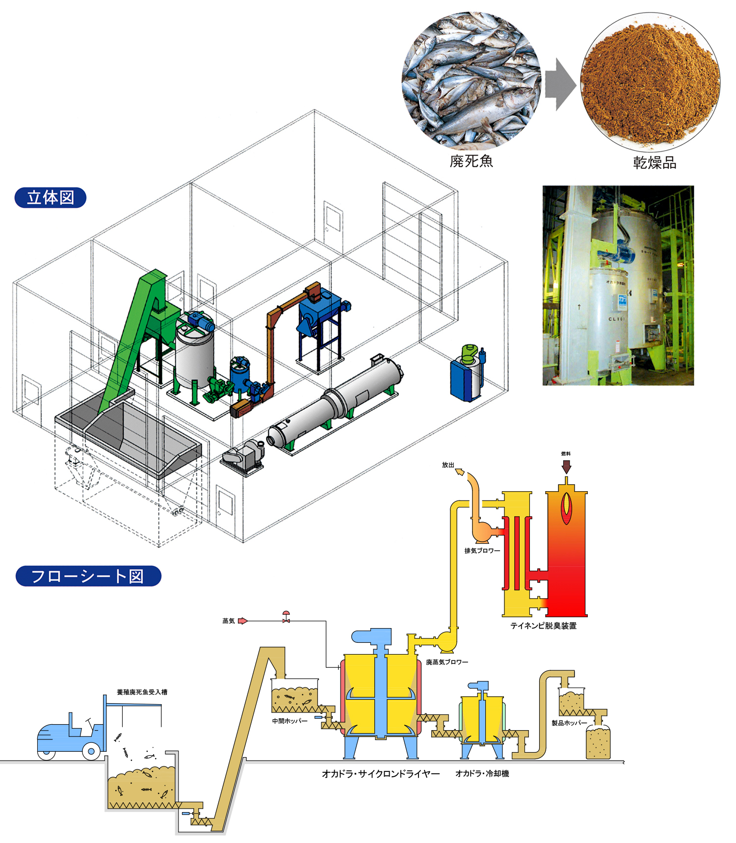 養殖廃死魚乾燥プラント立体図